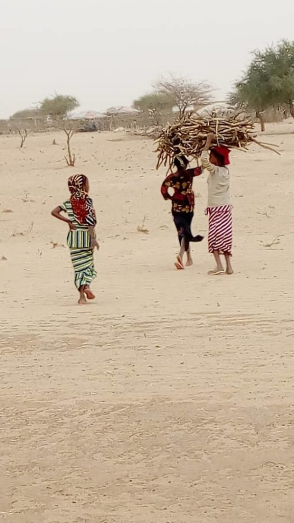 Photo d'enfants qui ramènent du bois