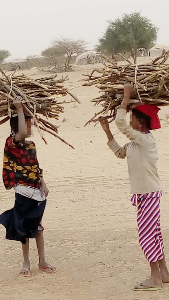 Photo d'enfants qui ramènent du bois