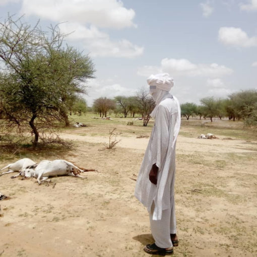 Peul devant un paysage d'horreur