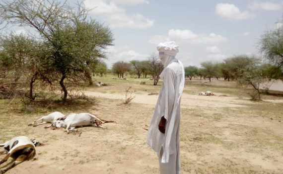 Peul devant un paysage d'horreur